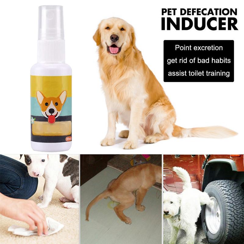 Portátil Dog Potty Training Ai - Travel Accessories Dropshipping avaliação e preço