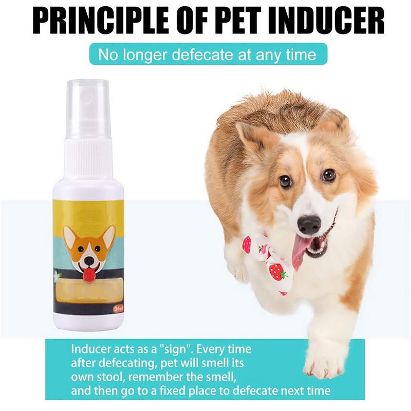 Portátil Dog Potty Training Ai - Travel Accessories Dropshipping avaliação e preço
